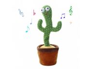 Éneklő és táncoló kaktusz
